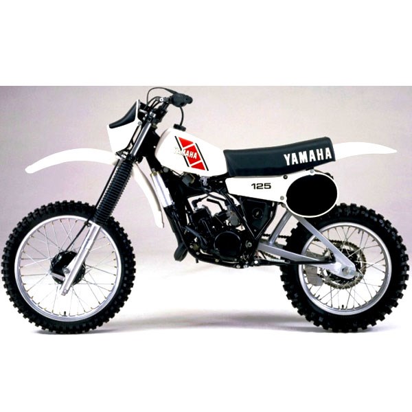 1979-1981